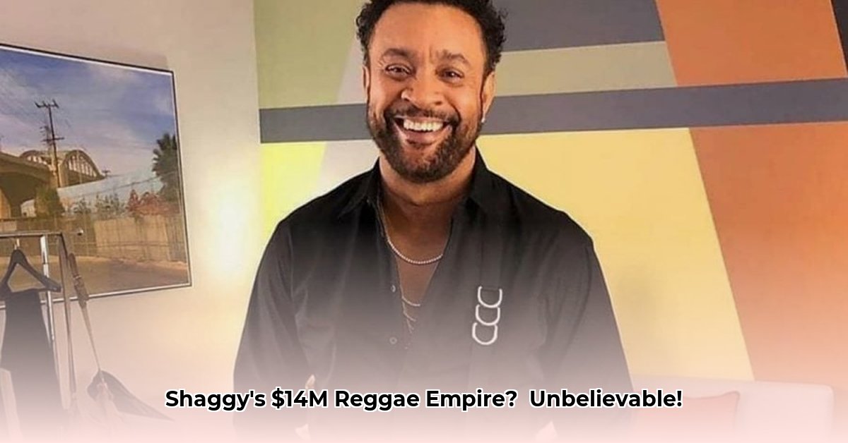 shaggy-net-worth-2023